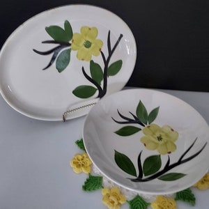 Bowl 286697 Sauce Joni DIXIE DOGWOOD Fruit Dessert Bowl 286697 Sauce Joni DIXIE DOGWOOD Fruit Dessert