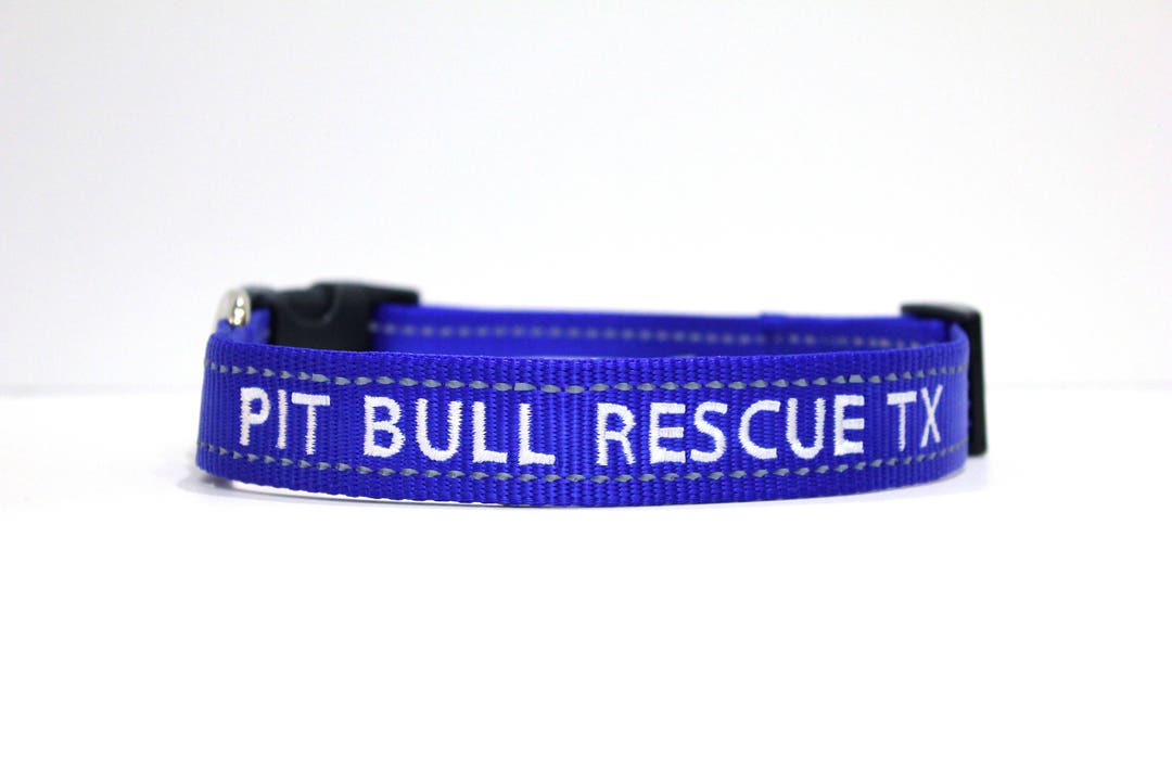 Custom Personalized Embroidered Blue Reflective Dog Collar - Etsy