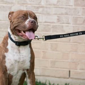 Custom Personalized Embroidered Dog Leash immagine 5