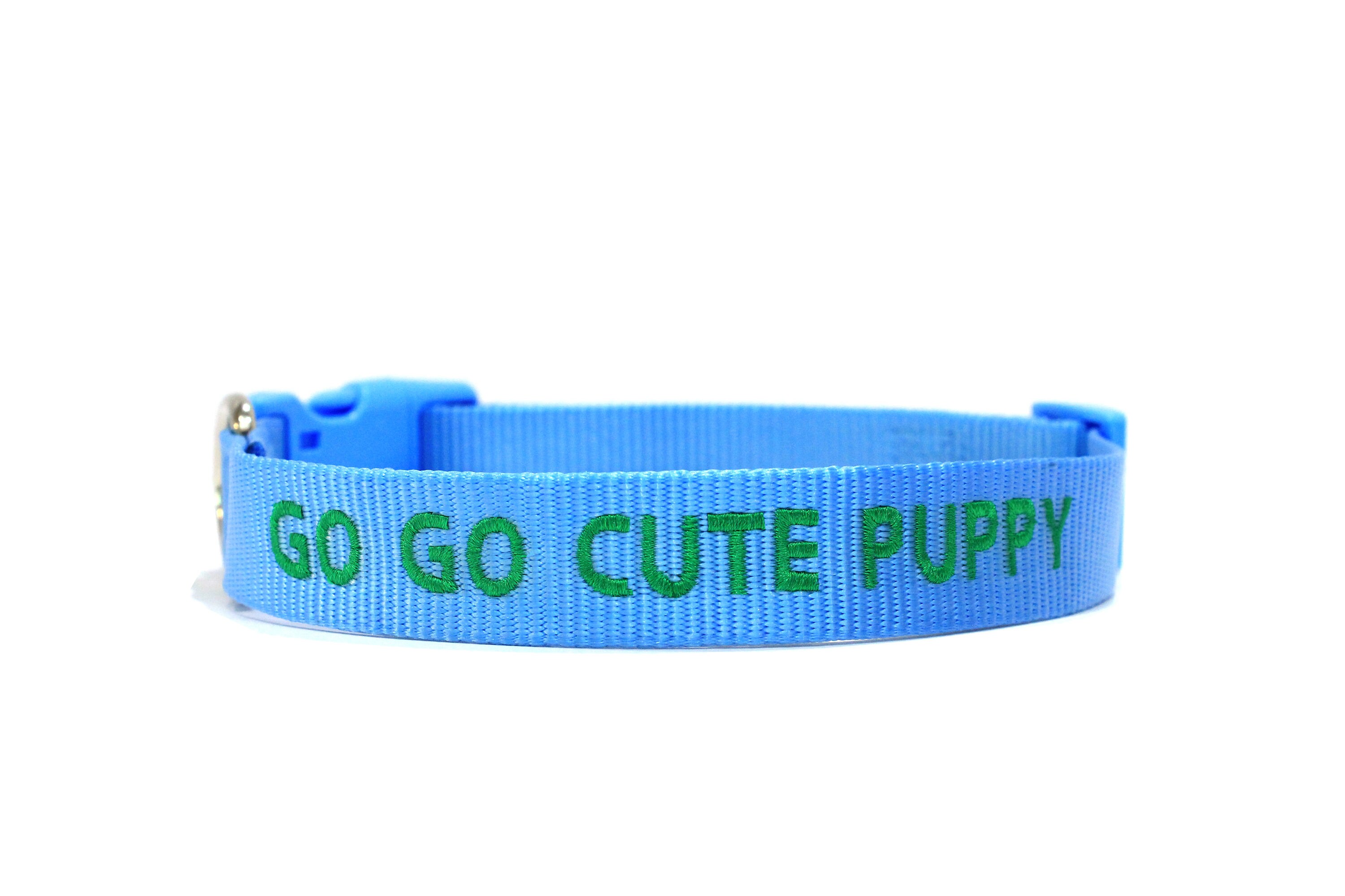 qualtry dog collar