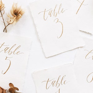 Complemento de tinta metálica o de color para caligrafía de números de mesa / Tinta de caligrafía personalizada para bodas y eventos especiales