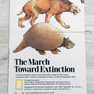 vintage 1989 National Geographic Magazine Carte de la Marche vers l’extinction