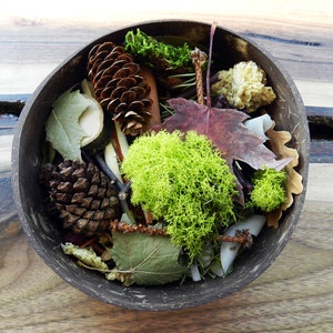 May include: A wooden bowl filled with natural elements, including pine cones, moss, leaves, and twigs. The bowl is on a wooden surface.