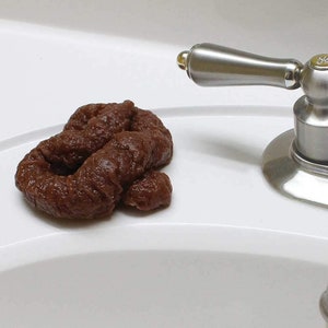 poop cocky poo poo  soap bar in nice gift box great gag gift sure looks like a real load