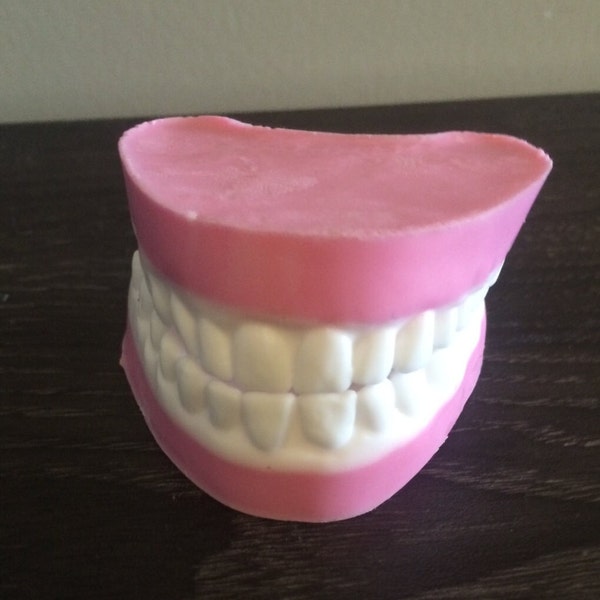 Dents prothèse fausse dents savon mis dans une boîte cadeau transparente grand cadeau gag pour Hallowen ou juste une blague