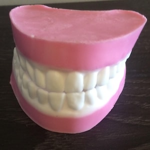 Teeth denture false teeth soap set in clear gift box great gag gift for Hallowen or just a joke