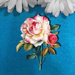 Rosa multicolor 2D aglomerado flores tarjeta de felicitación tablero de Chip diario basura Scrapbooking Darling Art mini álbum