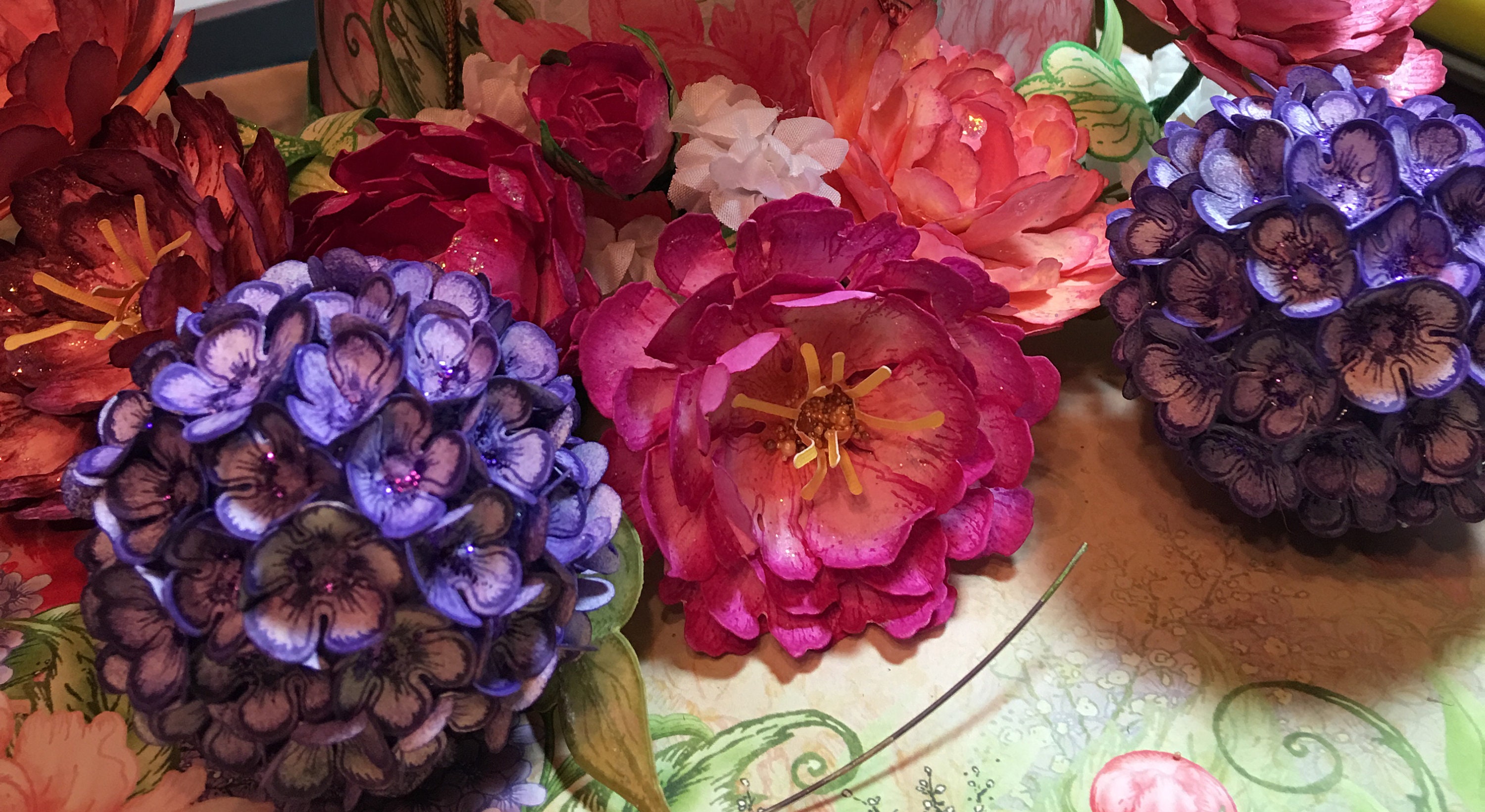 American cd cd essay garden hydrangeas photographic rom 08 image