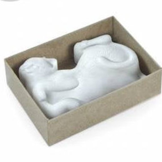 Furaser- Cat Eraser