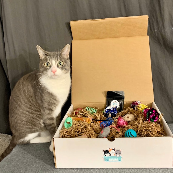 CatBox- The Original Activity Box