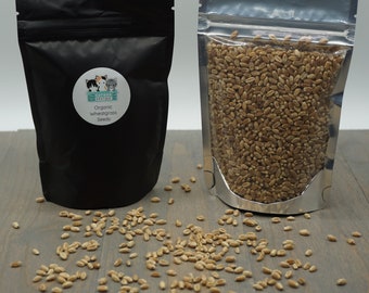 Organic Wheat Grass Seeds (Non-GMO) 5 oz bag