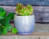 Purple Succulent Planter, Hand Thrown Porcelain, Ceramic, Air Plant, Herb Garden Caldwell Pottery