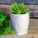 see more listings in the Succulent Planters/Pots section