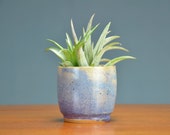 Purple Ceramic Succulent Planter, Hand Thrown Porcelain, Air Plant, Herb Garden, Container, Indoor, Unique Gift Mom Caldwell Pottery