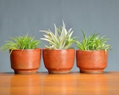 Orange Ceramic Succulent Planter Set, Porcelain Pottery, Herb Garden, Window Planter, Gift for Mom, Air Plant, Cactus Caldwell Pottery