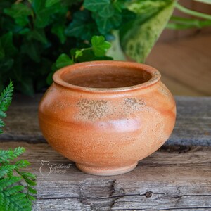 Succulent Planter, Ceramic Porcelain Pottery, Herb Garden, Air Plant, Unique Gift, Window, Cactus, Orange Caldwell Pottery image 3