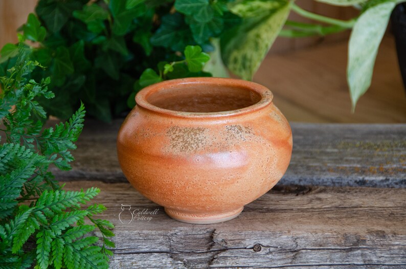 Succulent Planter, Ceramic Porcelain Pottery, Herb Garden, Air Plant, Unique Gift, Window, Cactus, Orange Caldwell Pottery image 3