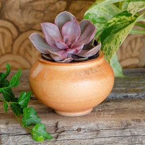 Succulent Planter, Ceramic Porcelain Pottery, Herb Garden, Air Plant, Unique Gift, Window, Cactus, Orange Caldwell Pottery image 2