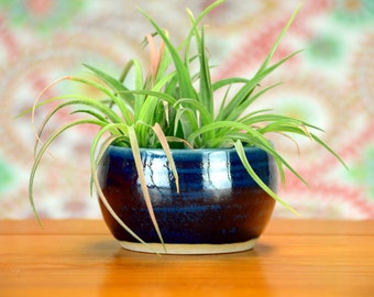 Blue Ceramic Succulent Planter, Window Planter, Hand Thrown Porcelain Pottery, Herb Garden, Pot,Feng Shui, Air Plant, Gift| Caldwell Pottery