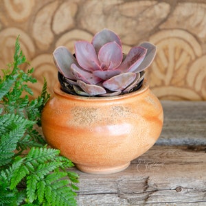 Succulent Planter, Ceramic Porcelain Pottery, Herb Garden, Air Plant, Unique Gift, Window, Cactus, Orange Caldwell Pottery image 1