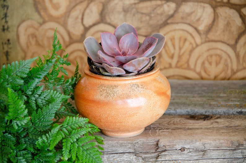 Succulent Planter, Ceramic Porcelain Pottery, Herb Garden, Air Plant, Unique Gift, Window, Cactus, Orange Caldwell Pottery image 1