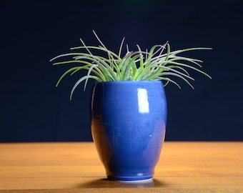 Planteur succulent bleu, Poterie en céramique, Jardin d’herbes, Pot, Cactus, Maman cadeau unique, Usine d’Air, Fenêtre Poterie Caldwell