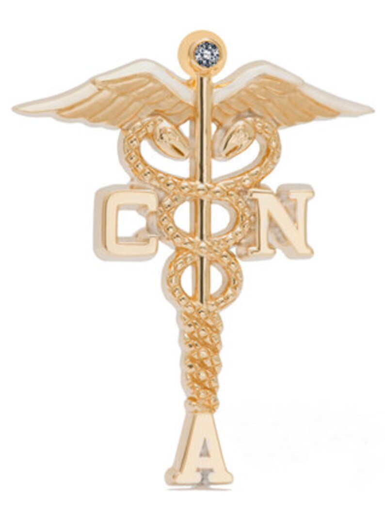 Certified Nursing Assistant Lapel Pin, Charm or Necklace in Sterling