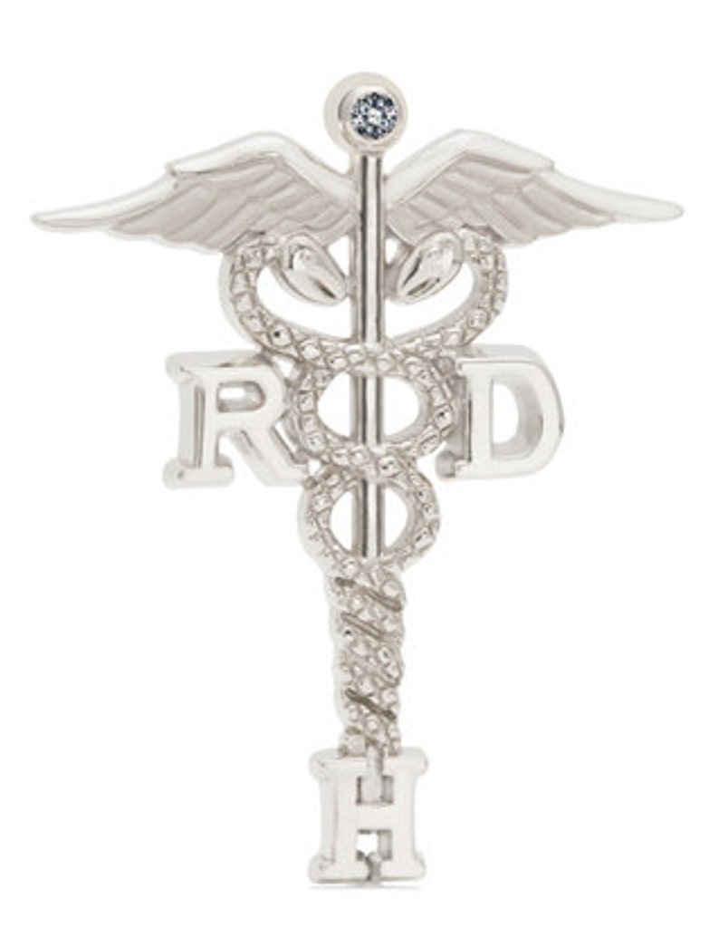 Registered Dental Hygienist Lapel Pin Charm or Necklace in Etsy