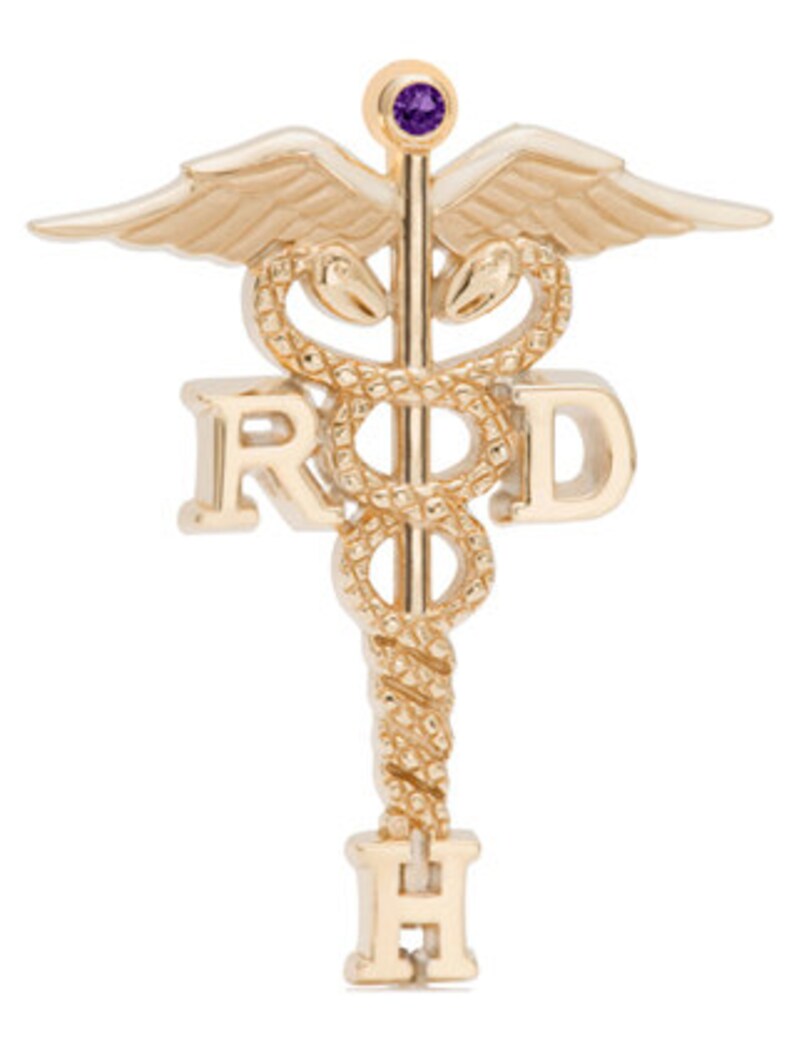 Registered Dental Hygienist Lapel Pin, Charm or Necklace in Sterling Silver, 10K or 14K Various