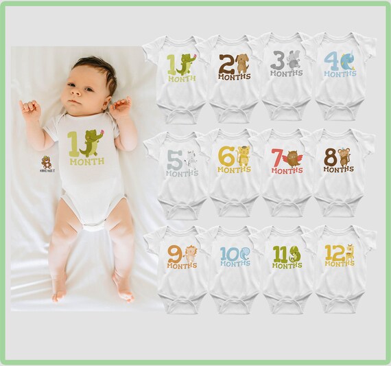 Animal Safari Theme Baby Monthly Onesies Set of 3 5 or 12