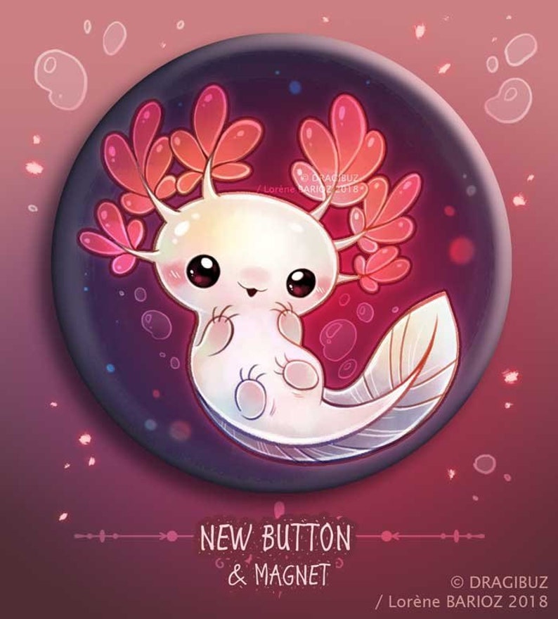 Axolotl buttons & Magnets