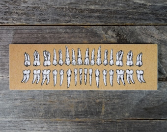 White Teeth Vinyl Sticker