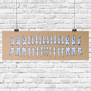White Teeth 5x15in Screen Print