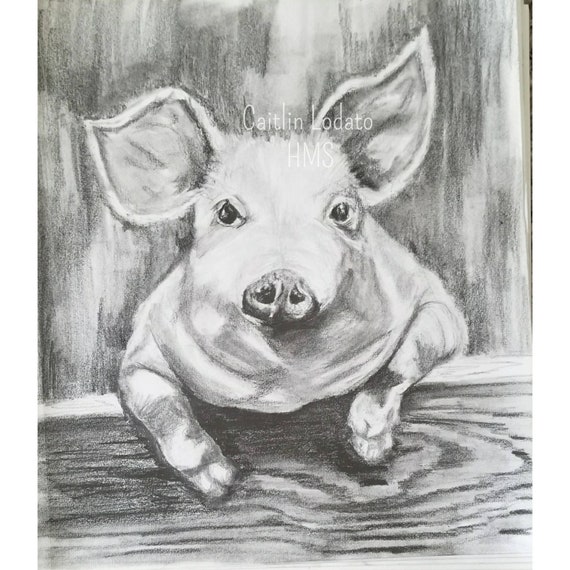 Piggy in pencil pencil drawing of a pig cute pig drawing Etsy
