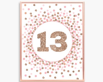 9-Piece Rose Gold 13th Birthday Decorations Set - Honeycomb Centerpieces, Table Signs For Girls Party - View #9