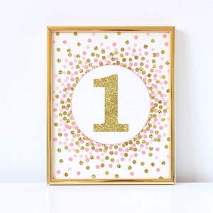 Number 1 Sign 1st Birthday Party Decor 1st Birthday Party Sign Pink Gold Glitter Number One Sign Girl Birthday Party Decorations