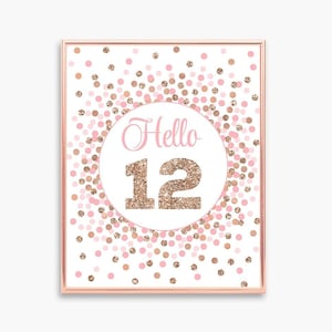 Hello 12 Sign Printable Pink and Rose Gold 12th Birthday Table Sign ...