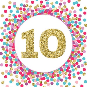 Number 10 Sign Girl 10th Birthday Party Decor 10th Birthday Party Sign Hot Pink Purple Lavender Teal Gold Confetti Party Decorations image 2