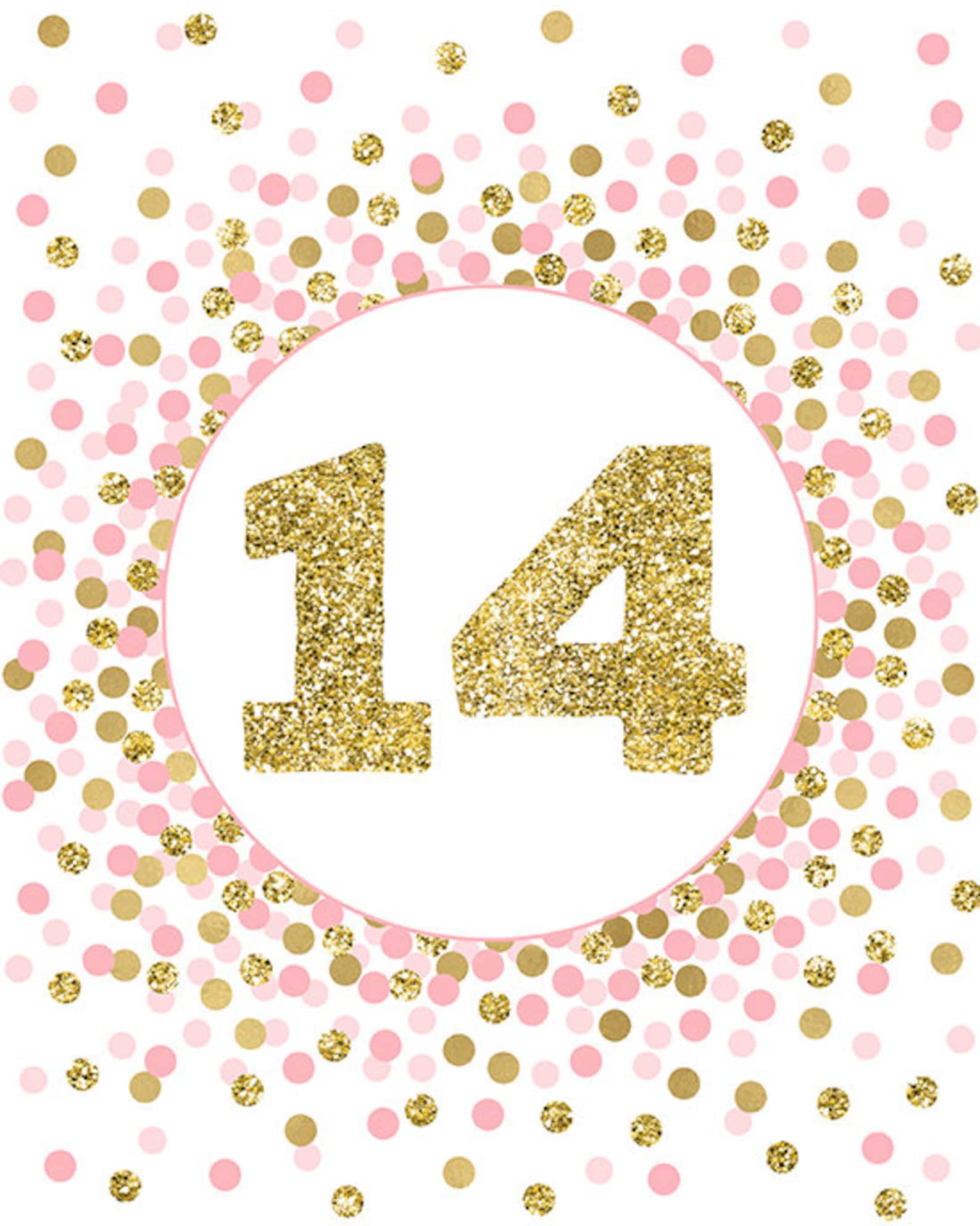 14th birthday girl decorations Pink and gold number 14 sign | Etsy