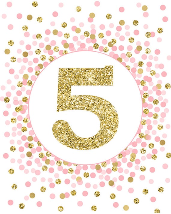 Number 5 Sign Fifth Birthday Party Decor 5th Birthday Party Sign Girl 5th  Birthday Decorations Pink and Gold Glitter - Etsy