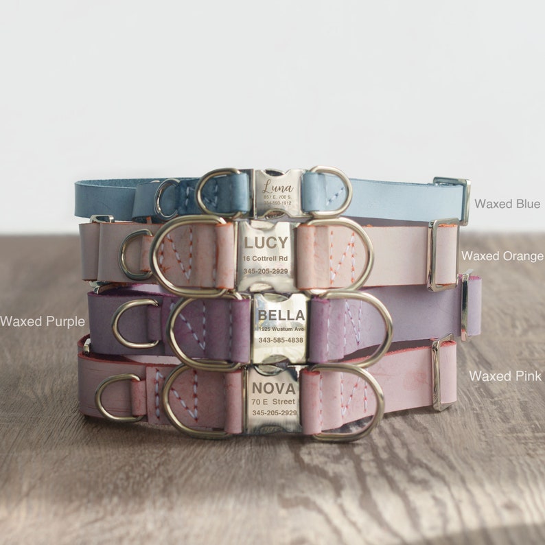 May include: Four leather dog collars in different colors, stacked on top of each other. The collars are personalized with names and phone numbers. The colors are blue, orange, purple, and pink.