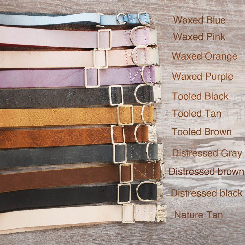 May include: A variety of leather dog collars in different colors and finishes, including waxed blue, waxed pink, waxed orange, waxed purple, tooled black, tooled tan, tooled brown, distressed gray, distressed brown, distressed black, and nature tan.