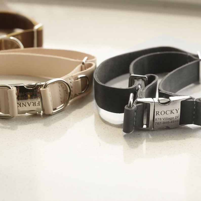 May include: Two leather dog collars with personalized metal tags. The beige collar has the name "FRANK" engraved on the tag. The gray collar has the name "ROCKY" and contact information engraved on the tag.
