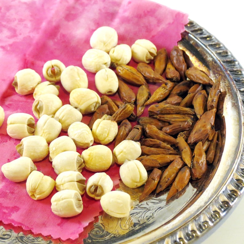 May include: A silver tray with a pink cloth on top. The tray contains two types of seeds: white lotus seeds and brown, elongated seeds.