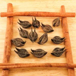 May include: A collection of dark brown, seed-like objects with intricate patterns, arranged on a light wooden surface within a frame made of cinnamon sticks. The seeds have a unique, textured appearance, and the cinnamon frame adds a warm, earthy contrast.