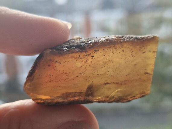 Blue Amber Raw Edge Free form Slices From Sumantra, Indonesia Blue Amber Raw Edge Free form Slices From Sumantra, Indonesia