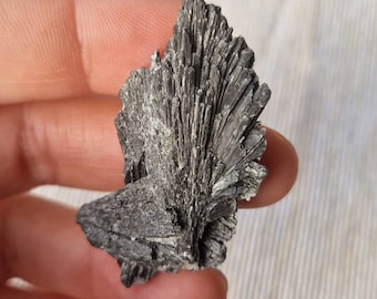 Rare Black Kyanite - Black Kyanite Fan - Raw Black Kyanite  - Protection Crystal