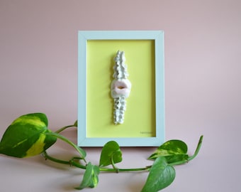 Frame with a porcelain mouth,  Porcelain sculpture on a picture or canvas, Painting and illustration for home decoration