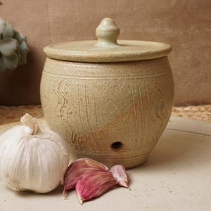 Può includere: Un barattolo di ceramica per conservare l'aglio con un coperchio e un foro sul fondo. Il barattolo è di colore verde chiaro con una superficie testurizzata. Ci sono tre spicchi d'aglio accanto al barattolo.