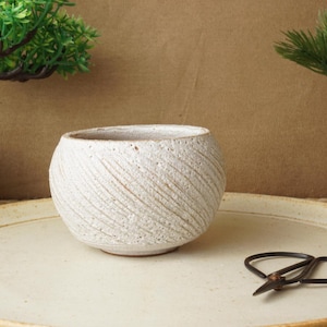 May include: A textured, off-white ceramic bowl with diagonal lines sits on a cream-colored plate. A pair of small, black scissors rests nearby. The scene is decorated with small potted plants, creating a natural, earthy aesthetic.